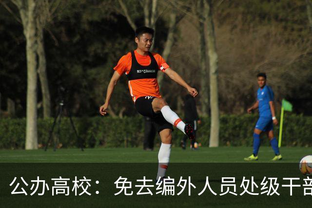 公办高校：免去编外人员处级干部职务