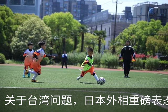 关于台湾问题，日本外相重磅表态，高市早苗要来参加APEC了？