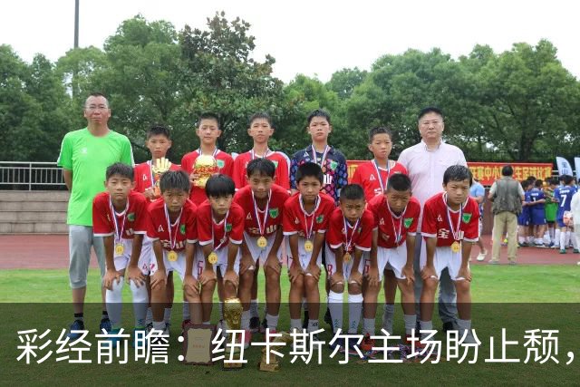 彩经前瞻：纽卡斯尔主场盼止颓，维拉欧冠强势归来首推平局