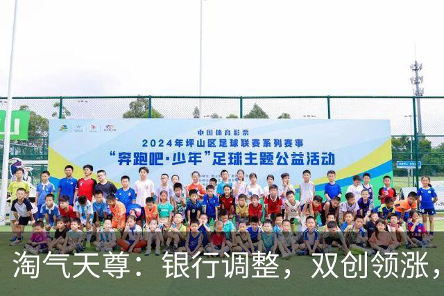 淘气天尊：银行调整，双创领涨，验证判断！