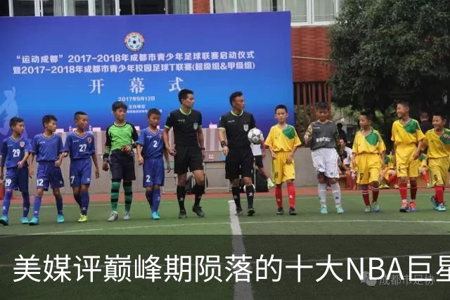 美媒评巅峰期陨落的十大NBA巨星，姚明居首，罗伊第5，波什入前3