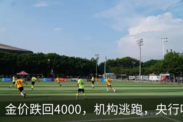 金价跌回4000，机构逃跑，央行吃饱，你相信谁？