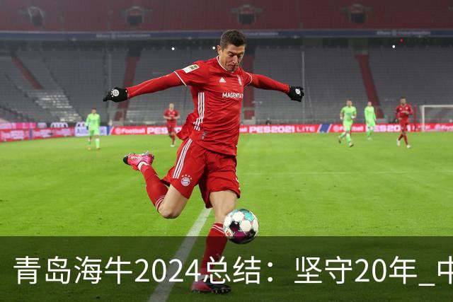 青岛海牛2024总结：坚守20年 中能的拼争与困境